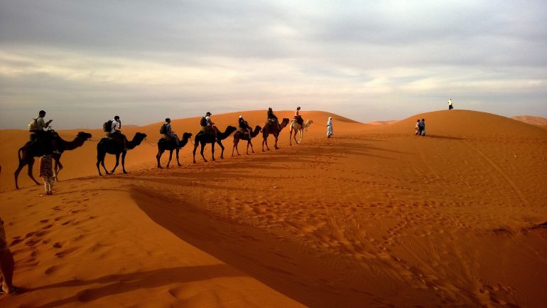 camels-desert-landscape-53537